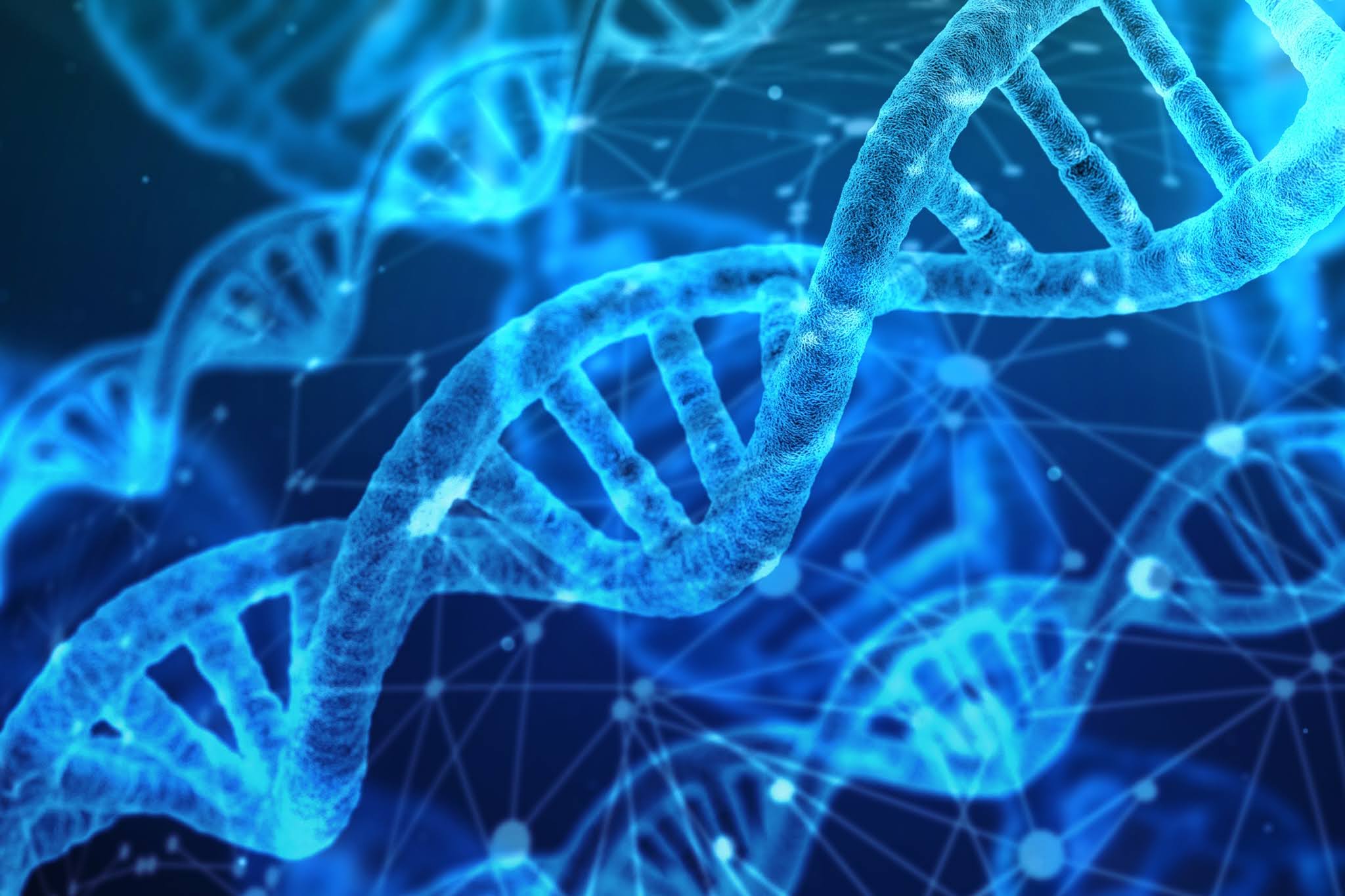 ask the umc cloning dna pixabay 3000